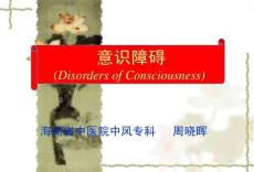 意识障碍分级10328