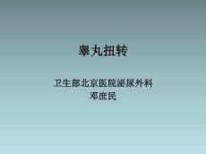 睾丸扭转17237