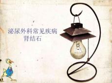 肾输尿管结石课件