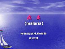 疟疾护理
