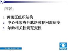 眼底病概述