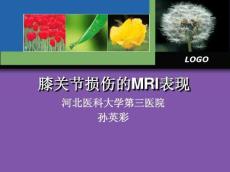 膝关节损伤MRI诊断