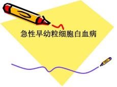 急性早幼粒细胞白血病ppt课件