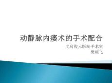 动静脉内瘘术