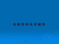 电烧伤和化学烧伤ppt课件