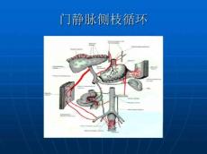 肝硬化图谱
