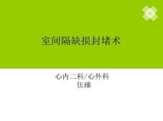 室间隔缺损封堵术