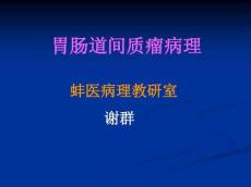 胃肠道间质瘤解读