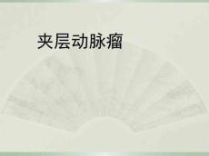 夹层动脉瘤
