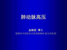 肺动脉高压7660