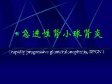 急进性肾小球肾炎13992