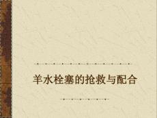 羊水栓塞14561