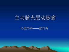 主动脉夹层动脉瘤