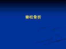 最新脊柱骨折课件