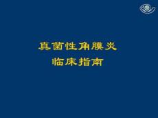真菌性角膜炎413