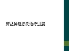 臂丛神经损伤治疗进展