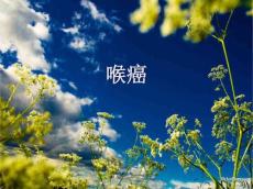 喉癌课件