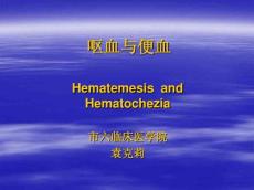 呕血与便血13004