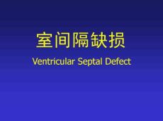 室间隔缺损6666