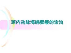 颈内动脉海绵窦瘘的诊治