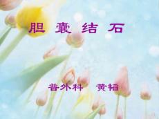 胆囊结石16468