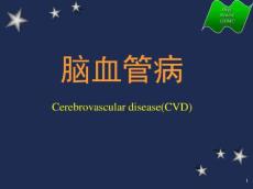 脑血管病13783