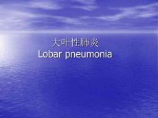 大叶性肺炎3880