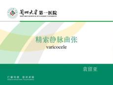 精索静脉曲张