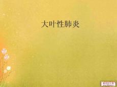 大叶性肺炎3776