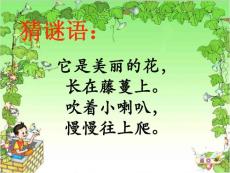 《丁丁和牽牛花》課件 (3)