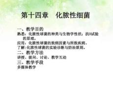 淋病奈瑟菌球形