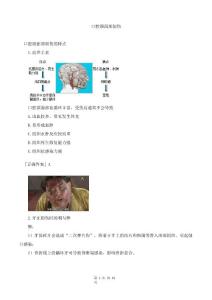 口腔颌面部创伤