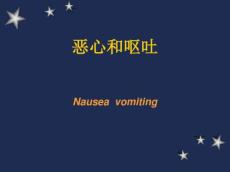 恶心和呕吐9943