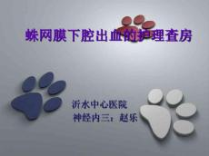 乐蛛网膜下腔出血