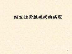 继发性肾脏病的病理特点PPT课件
