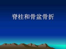脊柱骨折和骨盆骨折汇总