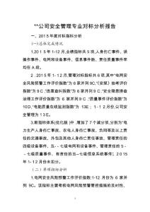 安全管理專業對標分析報告(DOC)