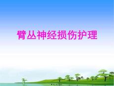 臂丛神经损伤护理