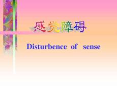 感觉障碍-神经内科课件