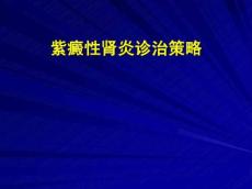 紫癜性肾炎诊治策略