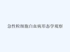 急性粒细胞白血病形态学观察ppt