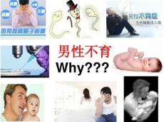 病例分析参考(男性不育