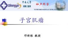 子宫肌瘤10665