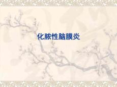 化脓性脑膜炎课件4021