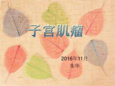 子宫肌瘤10675