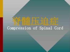 脊髓压迫症讲义