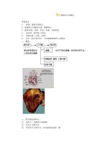 感染性心内膜炎