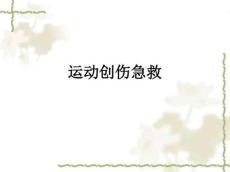 运动创伤急救ppt课件
