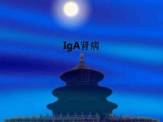 IgA肾病ppt课件24464