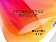 枋的天花枋,天花及天花构造